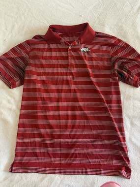 Nike Arkansas Razorbacks Dri-Fit Tour Performance Striped Polo Shirt